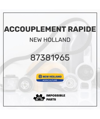 ACCOUPLEMENT RAPIDE acheter en ligne