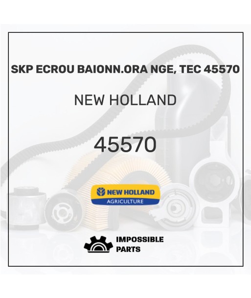 SKP ECROU BAIONN.ORA NGE, TEC 45570 destockage